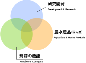 研究開発、農水産品（山口県産）、蒟蒻の機能
